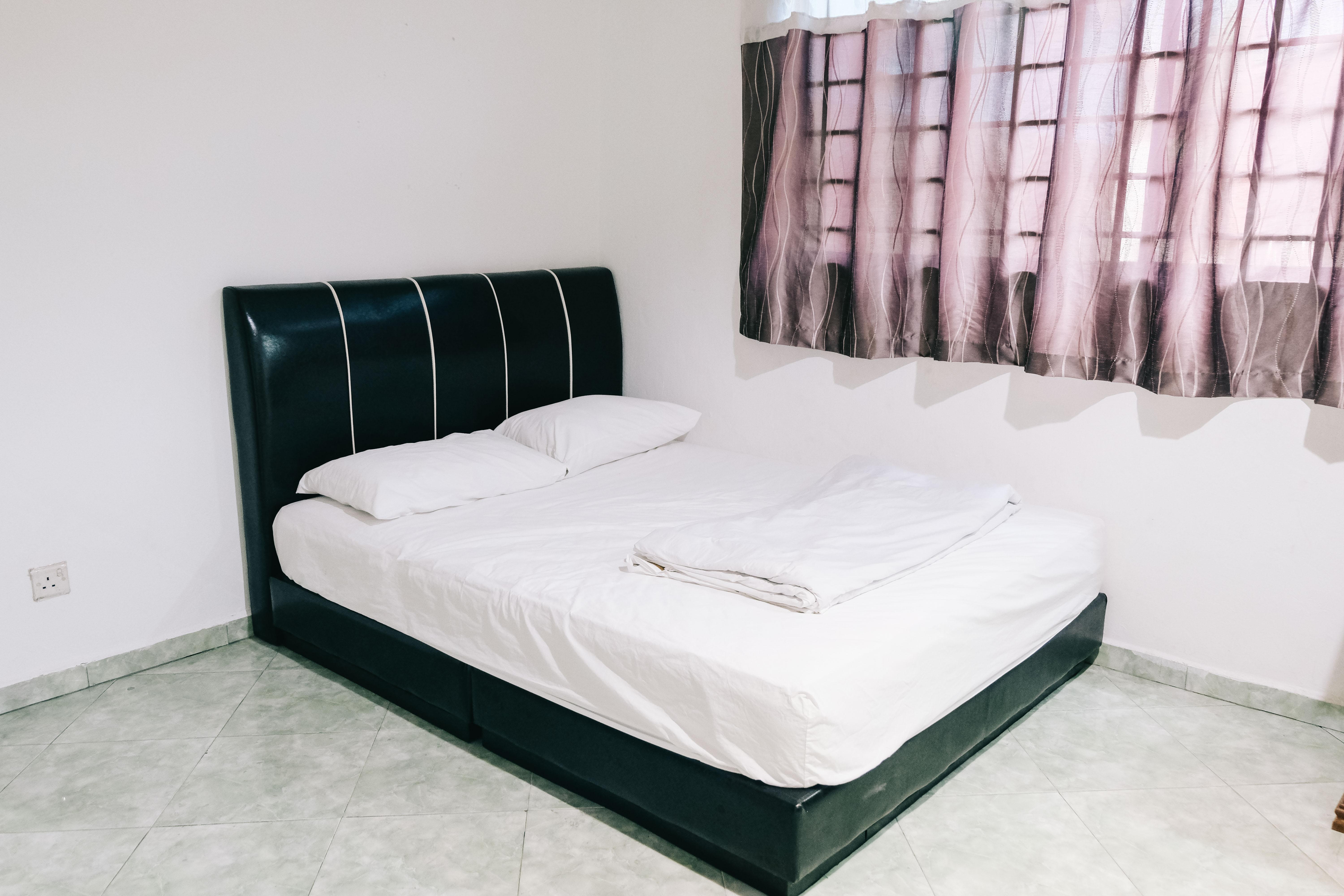 Guest house Camelia 2*