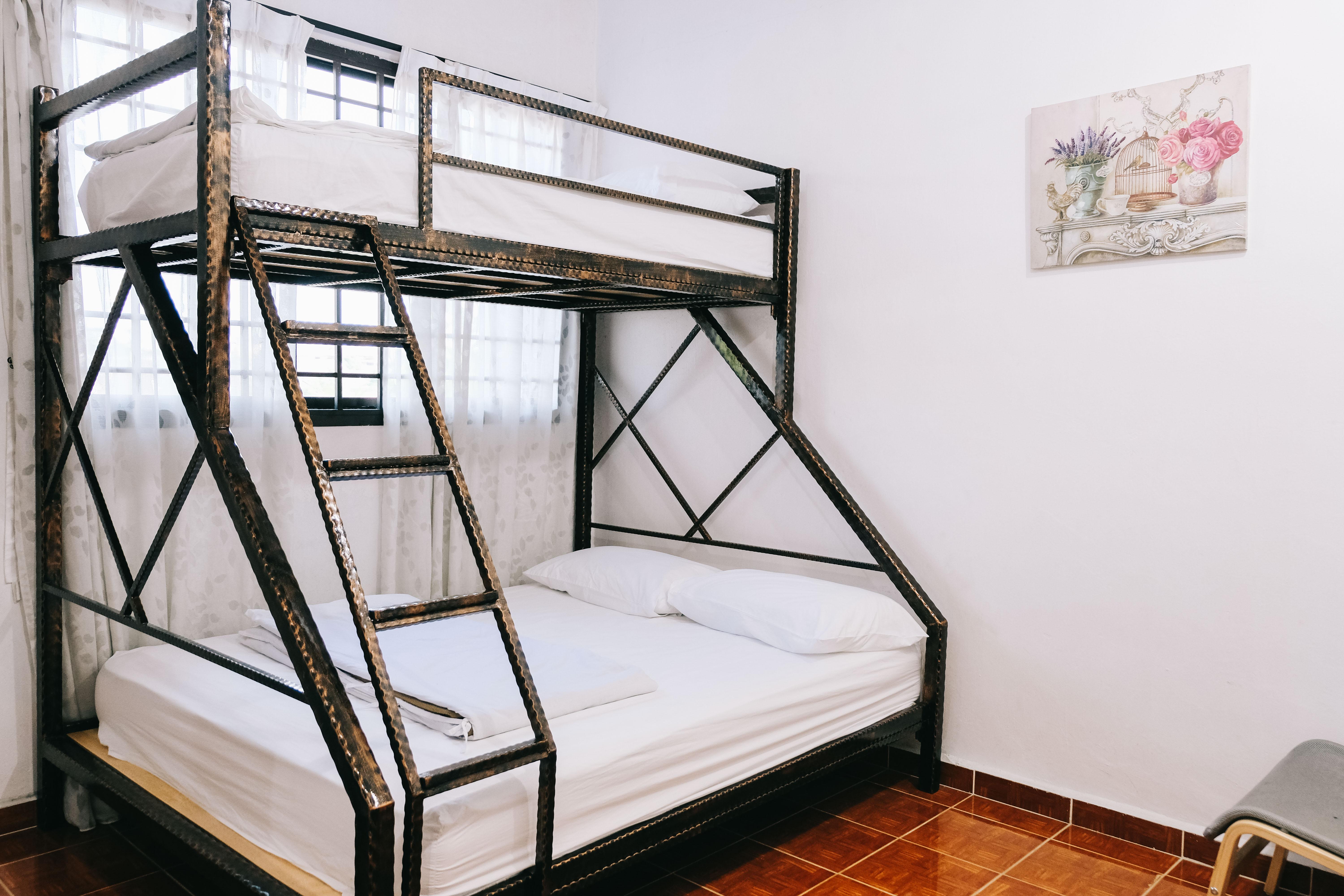 Camelia Guest house