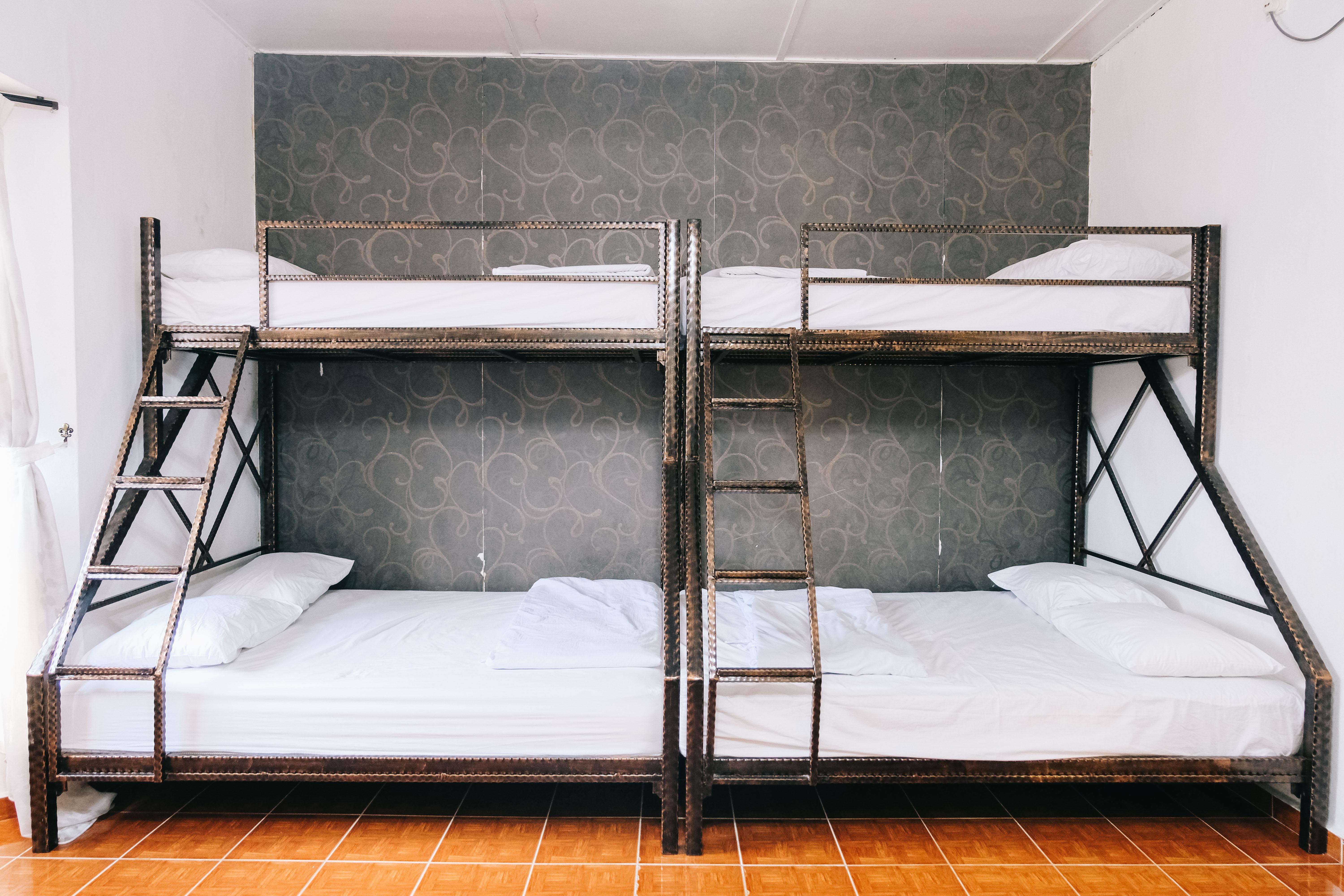 Camelia Guest house 2*