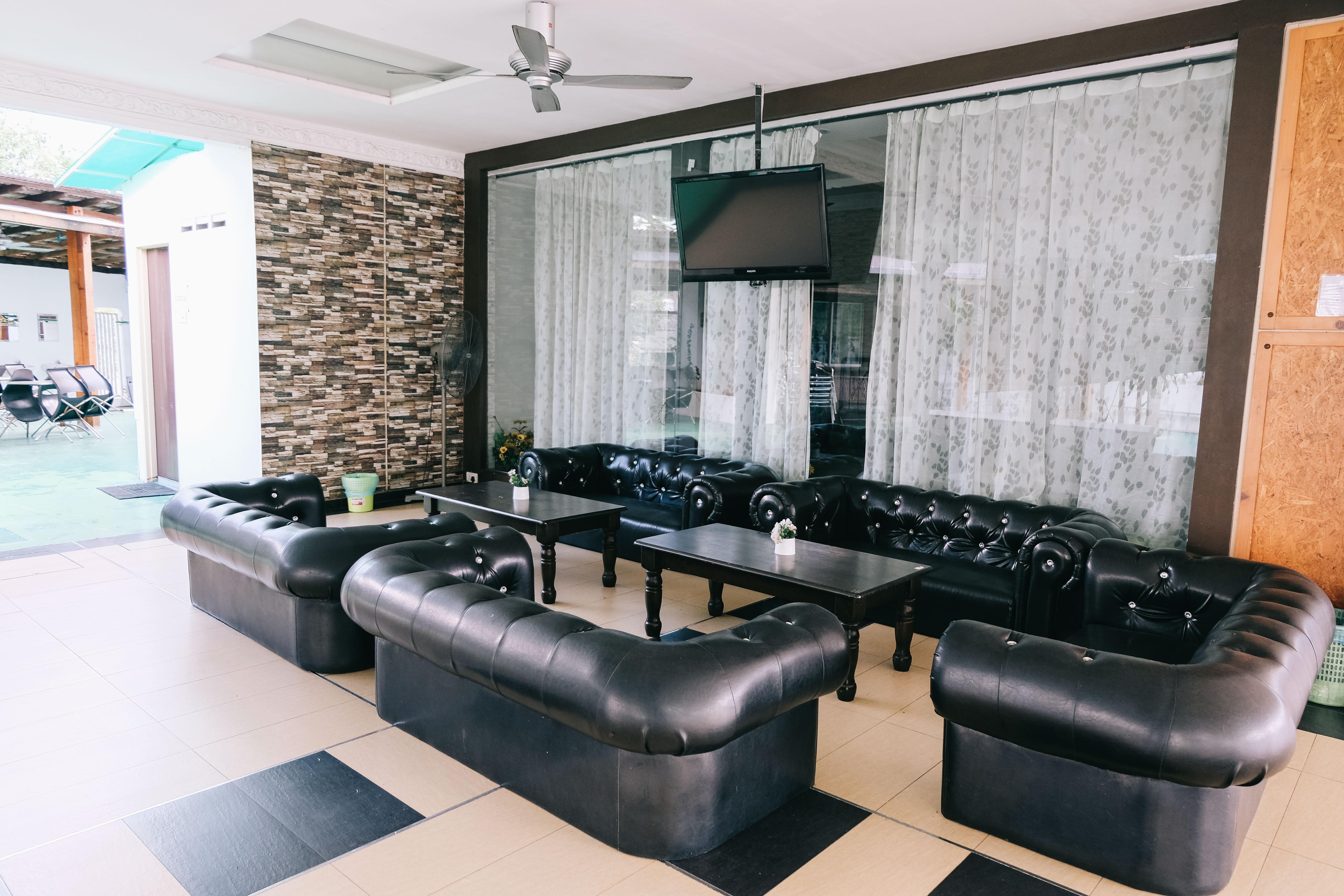 Camelia Guest house